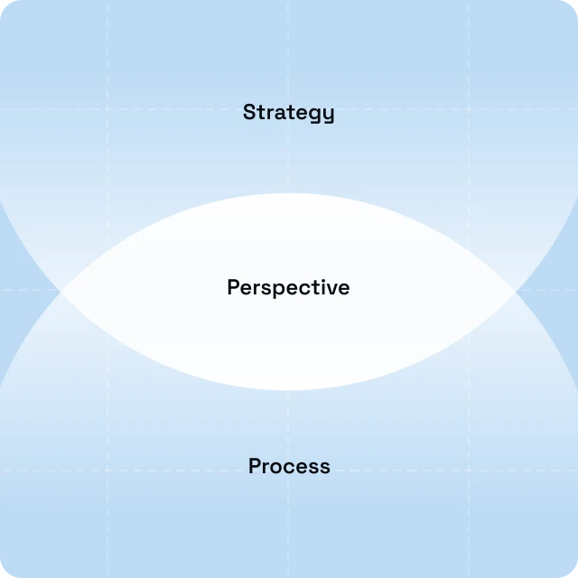 Strategy, perspective, and process overlap diagram