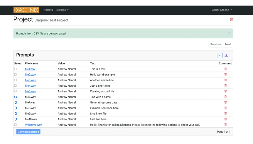 SimpleSpeak project management screen